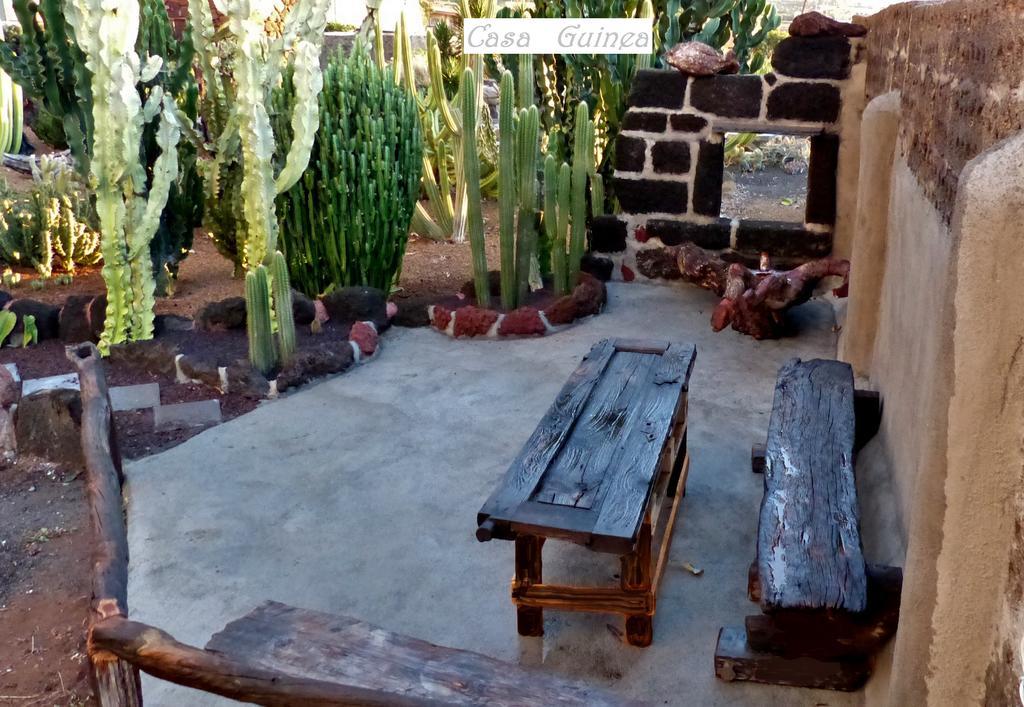 フロンテーラ Casa Guineaゲストハウス エクステリア 写真