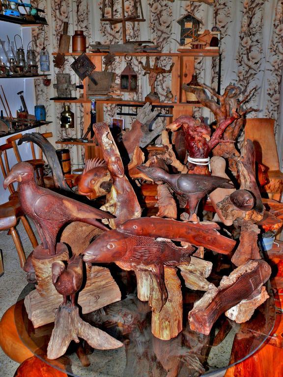 フロンテーラ Casa Guineaゲストハウス エクステリア 写真